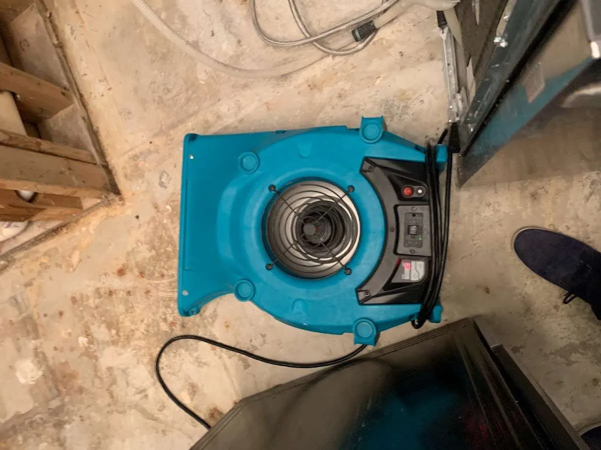 Air mover drying equipment for Mold Remediation & Removal in Mantua